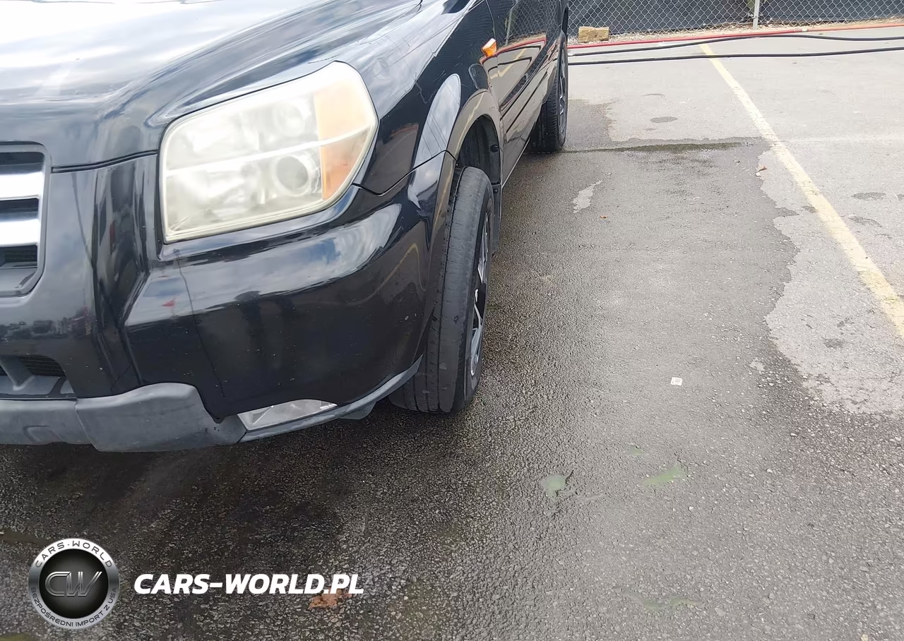 2006 Honda Pilot Ex VIN:5FNYF28416B040733 - 6