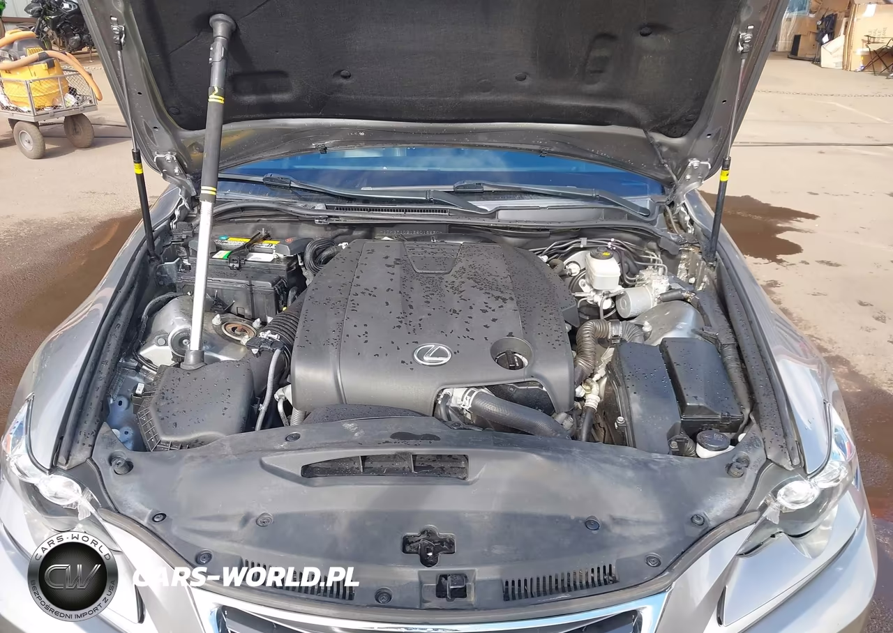2014 Lexus Is 250 VIN:JTHBF1D21E5018590 - 10