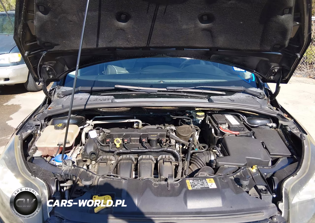 2014 Ford Focus VIN:1FADP3N26EL340757 - 10