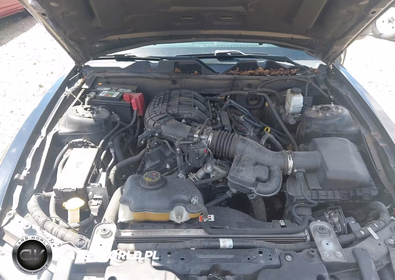 2014 Ford Mustang V6 VIN:1ZVBP8AM3E5230790 - 10