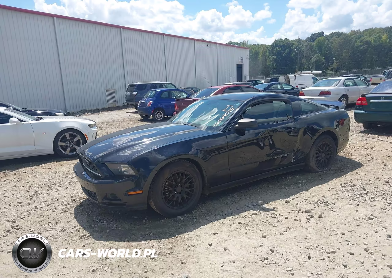 2014 Ford Mustang V6 VIN:1ZVBP8AM3E5230790 - 2