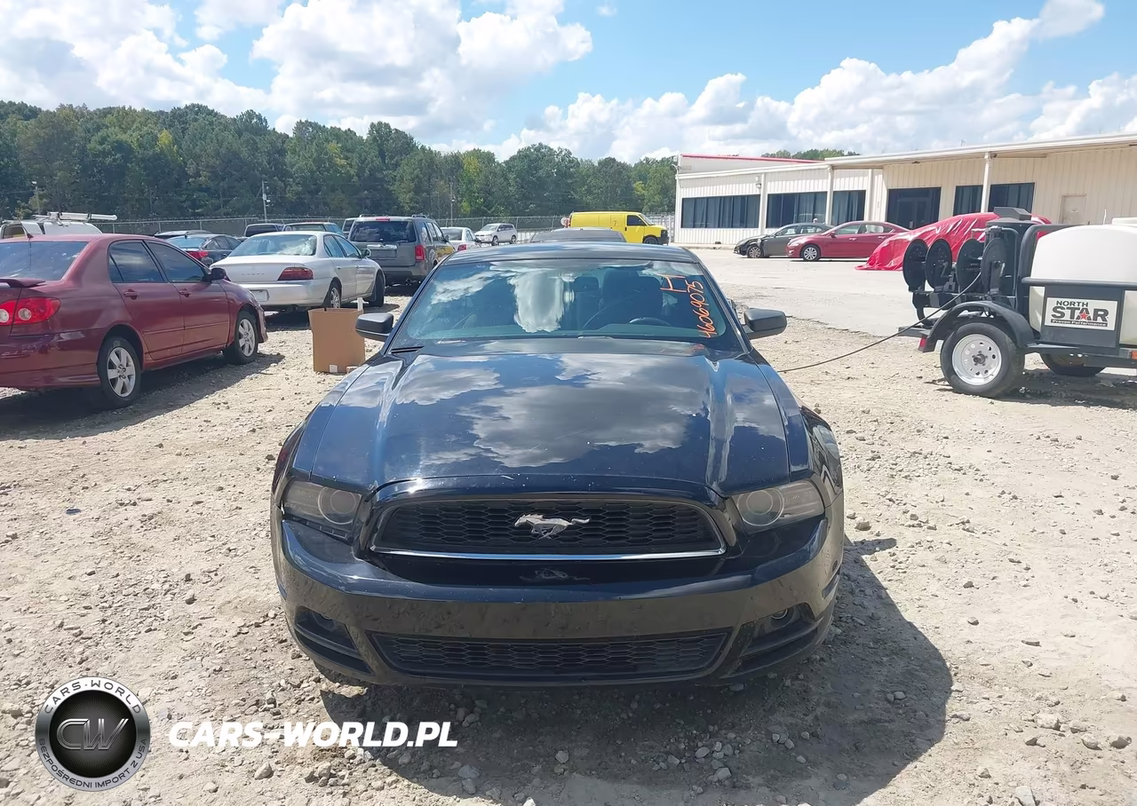 2014 Ford Mustang V6 VIN:1ZVBP8AM3E5230790 - 6