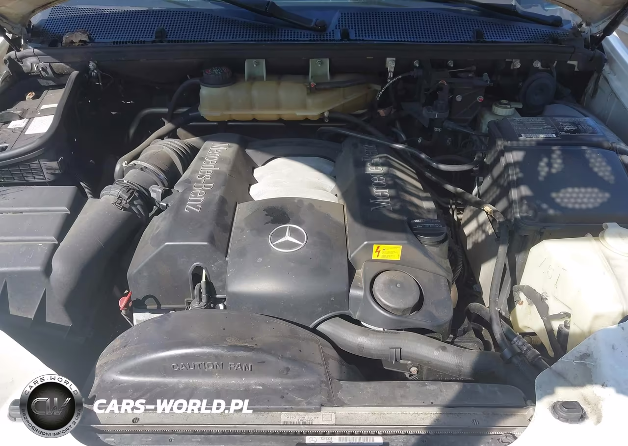 2002 Mercedes-Benz Ml 320 VIN:4JGAB54E72A341664 - 10