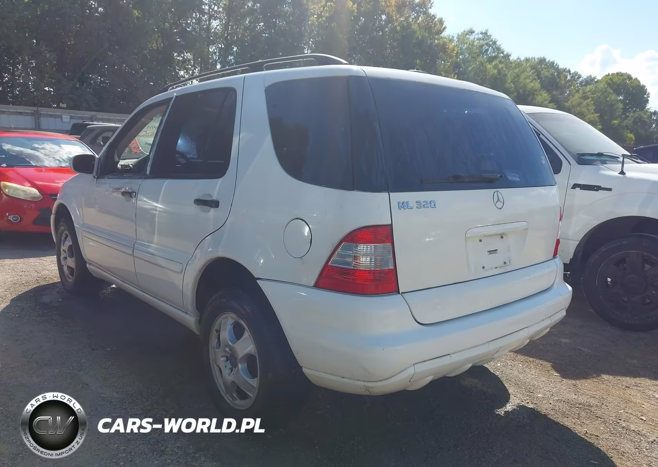 2002 Mercedes-Benz Ml 320 VIN:4JGAB54E72A341664 - 3