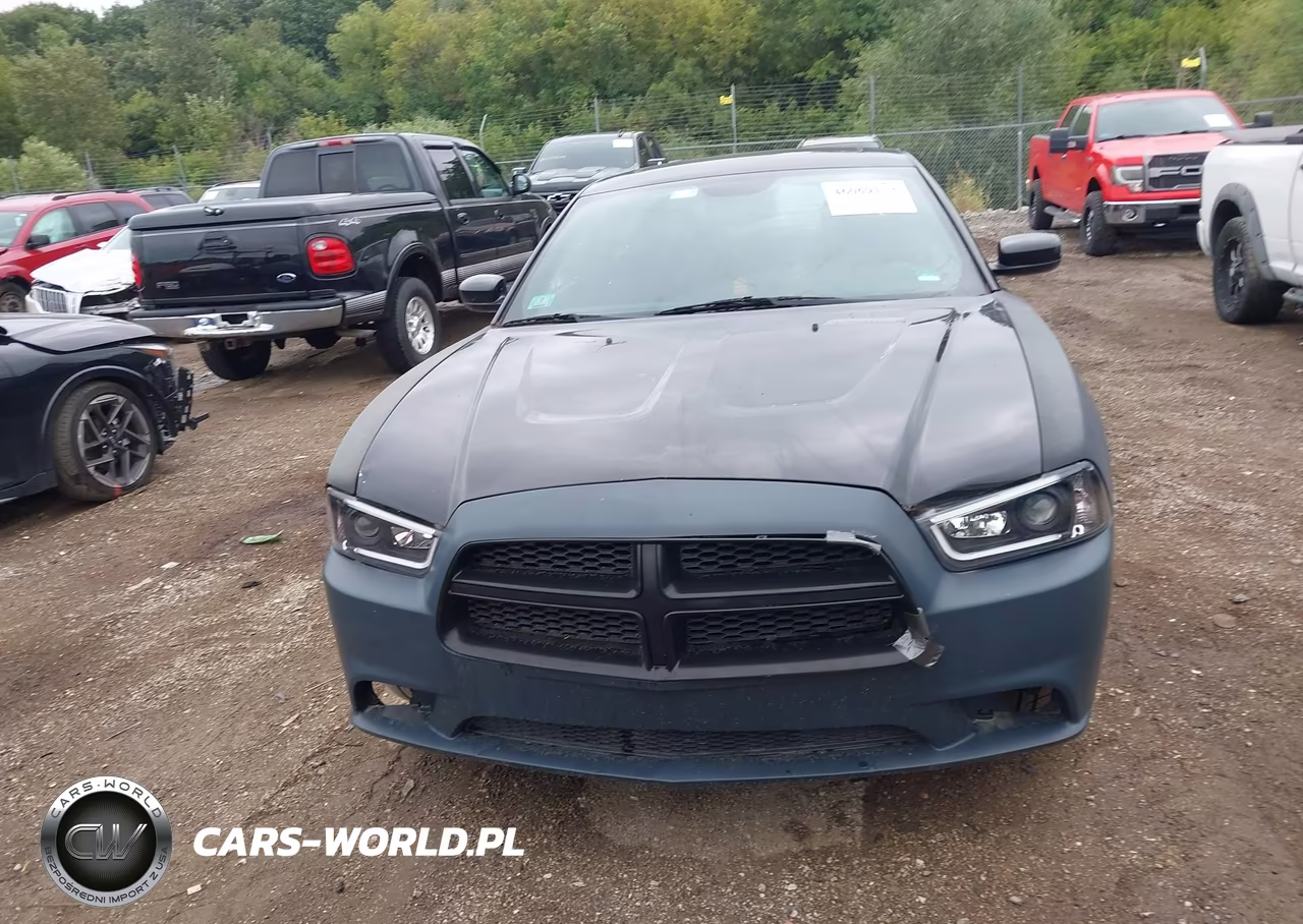 2013 Dodge Charger Sxt VIN:2C3CDXJG0DH613943 - 12