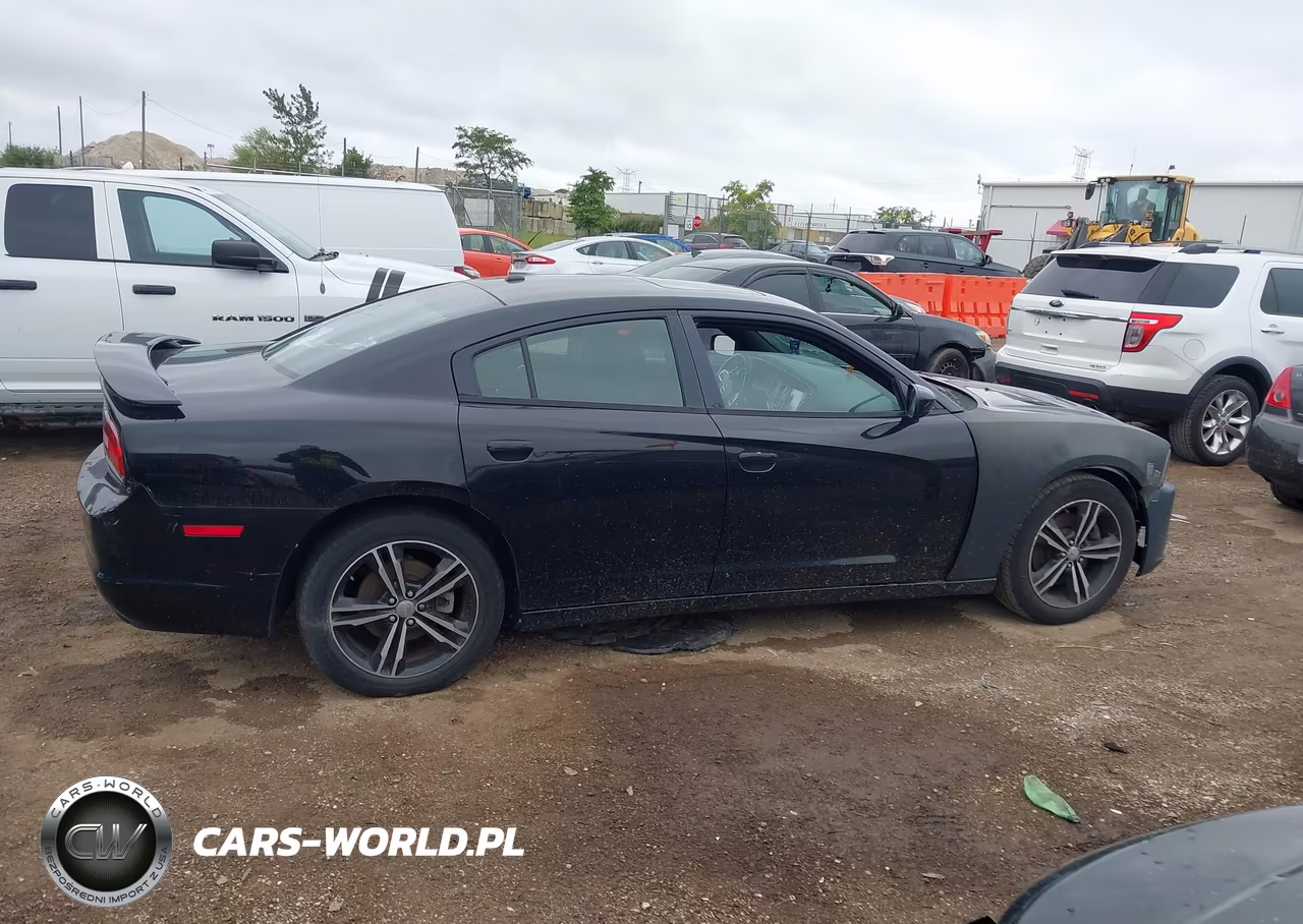 2013 Dodge Charger Sxt VIN:2C3CDXJG0DH613943 - 13