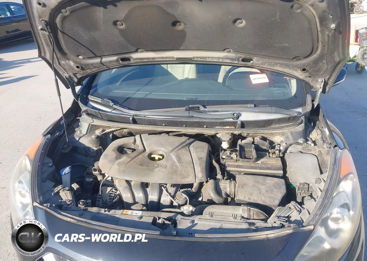 2014 Hyundai Elantra Gt VIN:KMHD35LH2EU192850 - 10