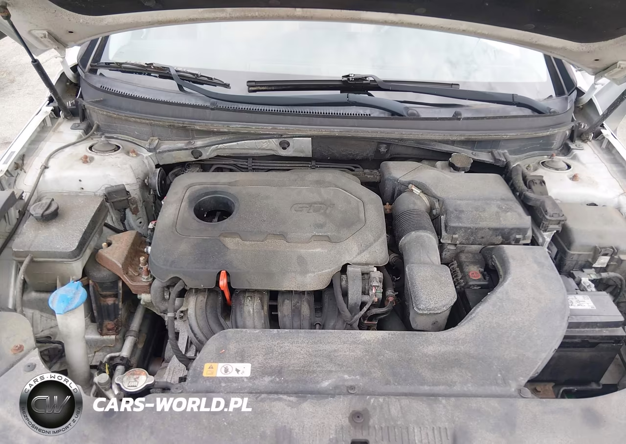 2015 Hyundai Sonata Sport VIN:5NPE34AF0FH079091 - 10