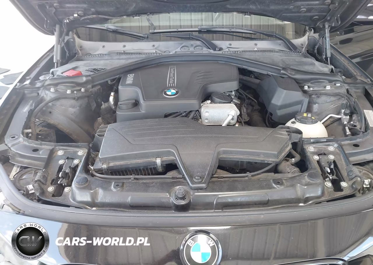 2015 BMW 320I VIN:WBA3B1G52FNT07645 - 10