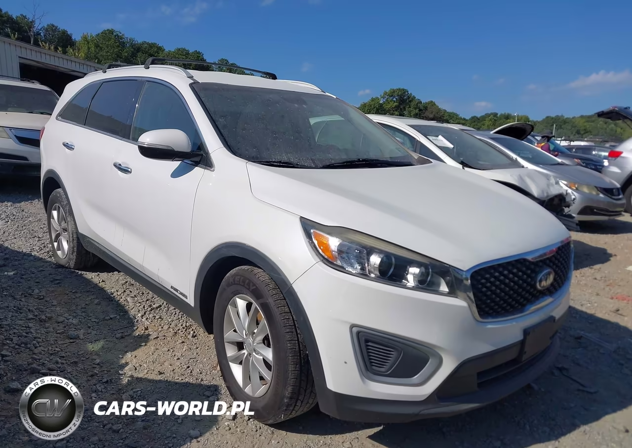 2018 Kia Sorento 3.3L Lx VIN:5XYPGDA59JG421559 - 13
