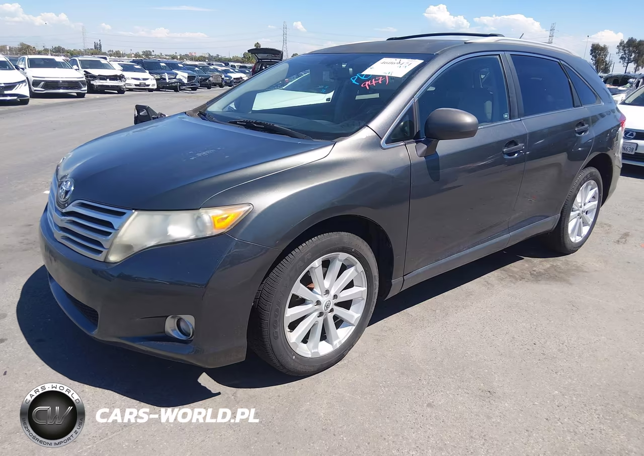 2009 Toyota Venza VIN:4T3ZE11A39U012531 - 2