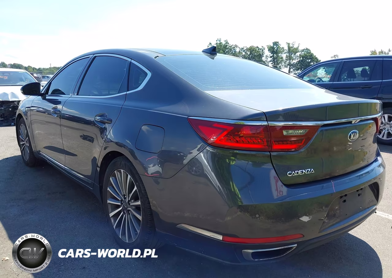 2018 Kia Cadenza Premium VIN:KNALC4J10J5119543 - 3