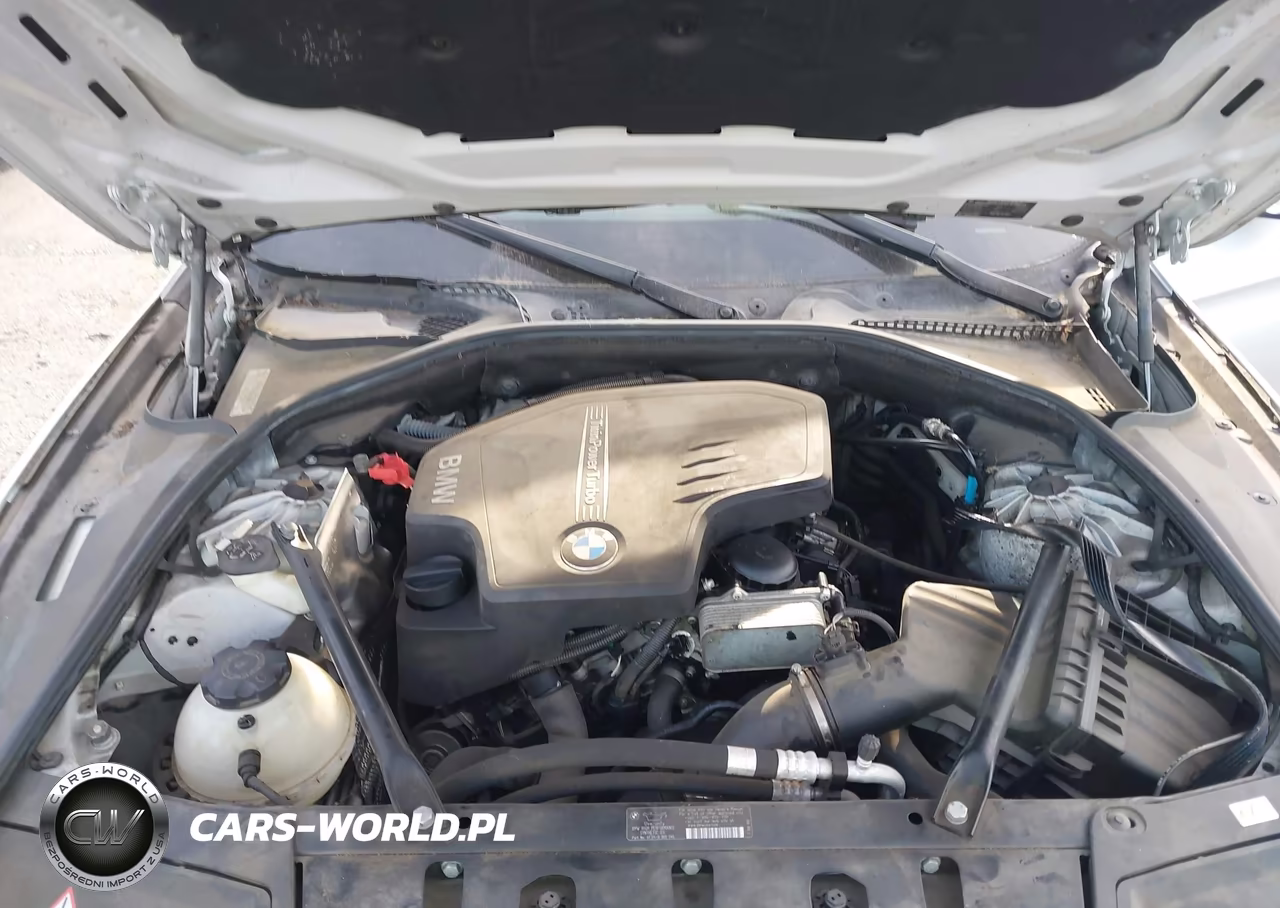 2012 BMW 528I VIN:WBAXG5C55CDW85430 - 10