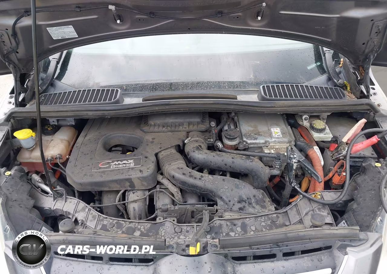 2014 Ford C-Max Energi Sel VIN:1FADP5CU3EL501470 - 10
