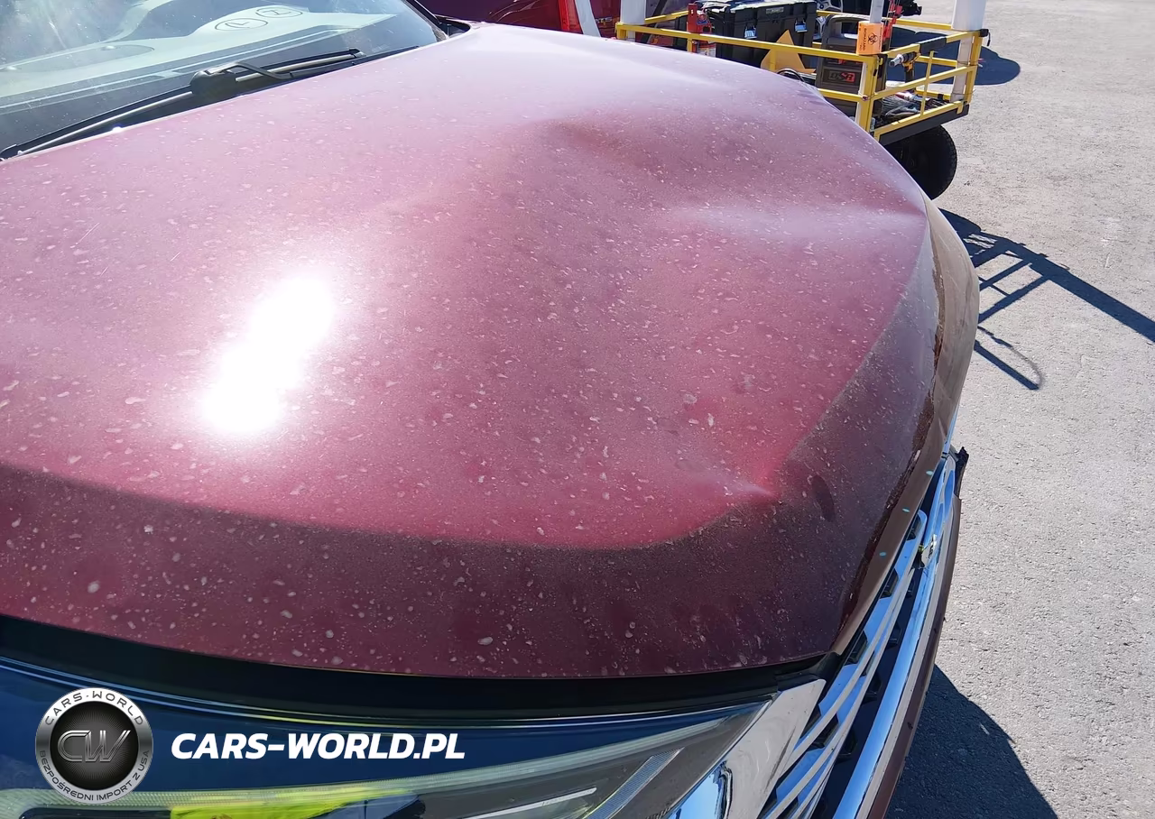 2019 Hyundai Tucson Ultimate VIN:KM8J33AL1KU975250 - 17