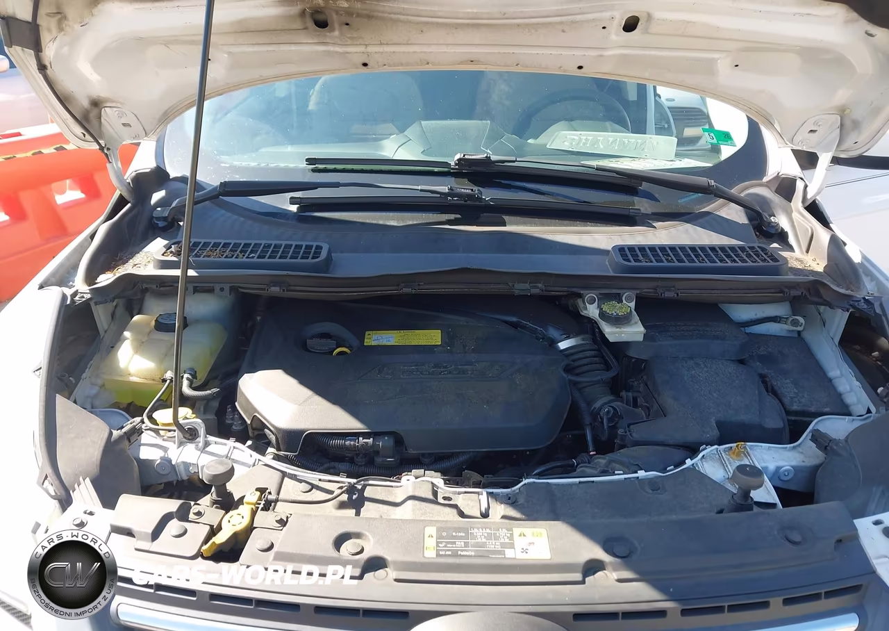 2014 Ford Escape Se VIN:1FMCU0GXXEUD06493 - 10
