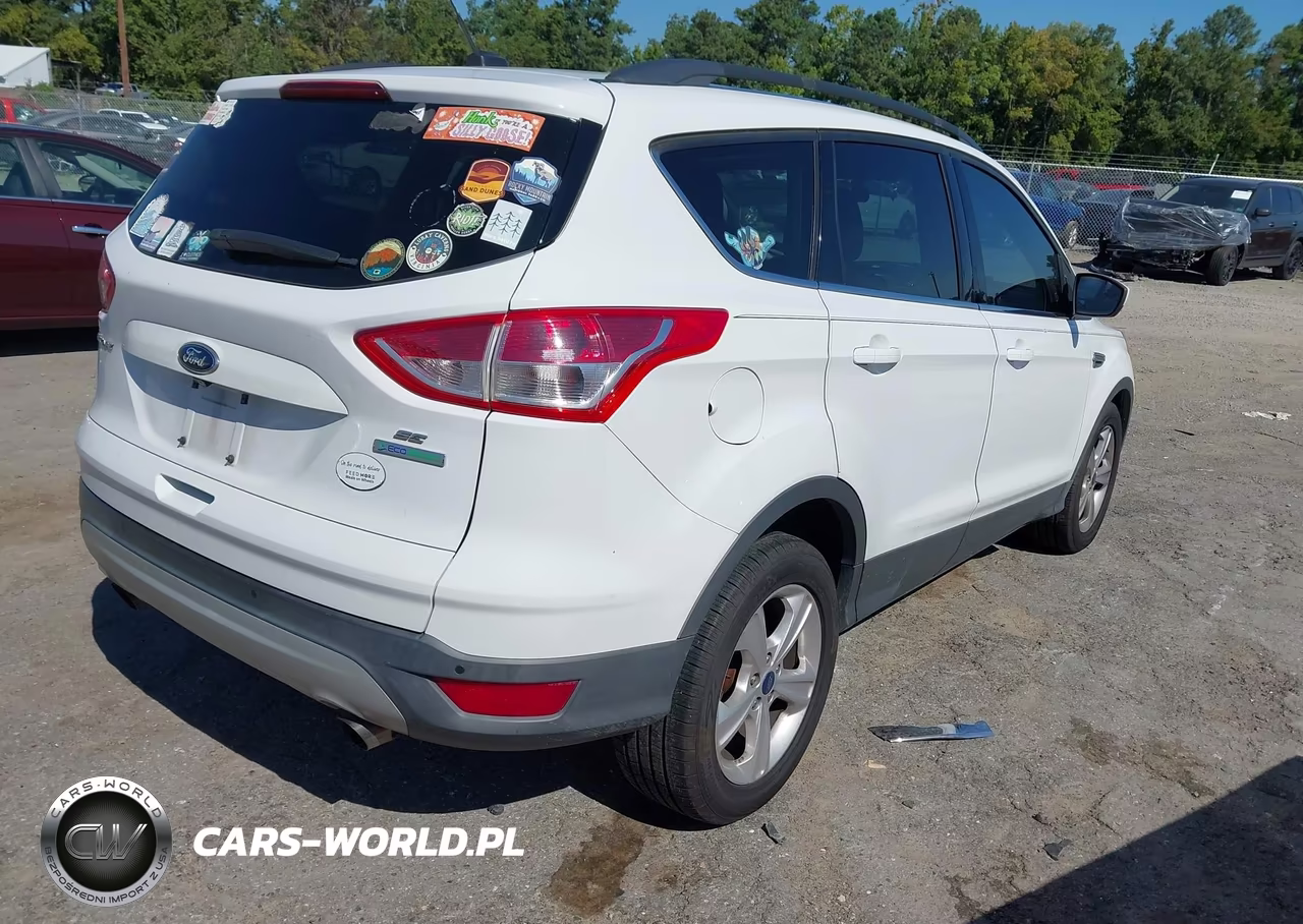 2014 Ford Escape Se VIN:1FMCU0GXXEUD06493 - 4