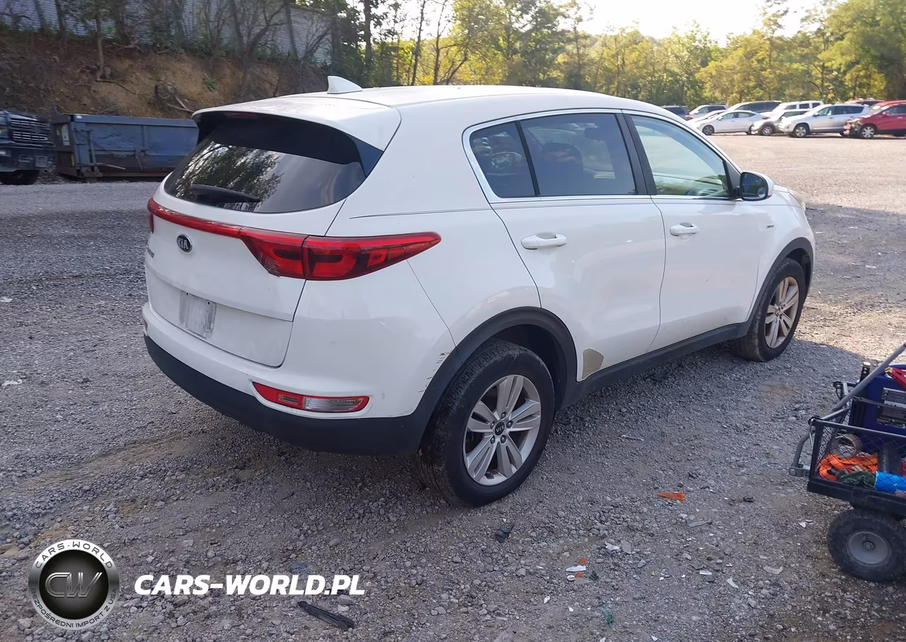 2017 Kia Sportage Lx VIN:KNDPMCAC8H7168467 - 4