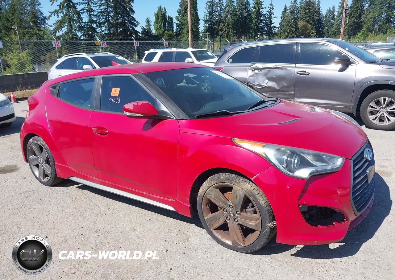 2014 Hyundai Veloster Turbo W-Black