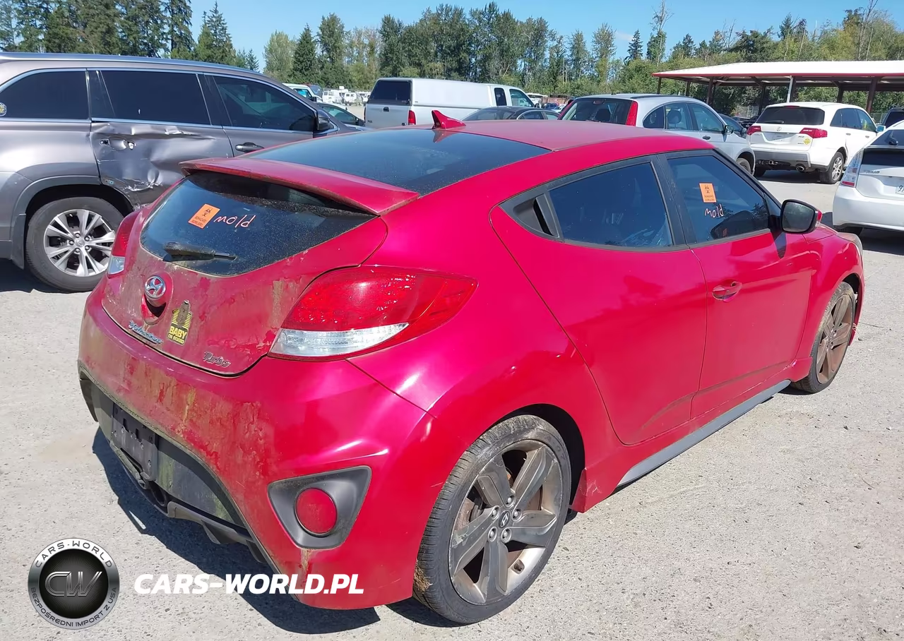 2014 Hyundai Veloster Turbo W-Black VIN:KMHTC6AE5EU200952 - 4