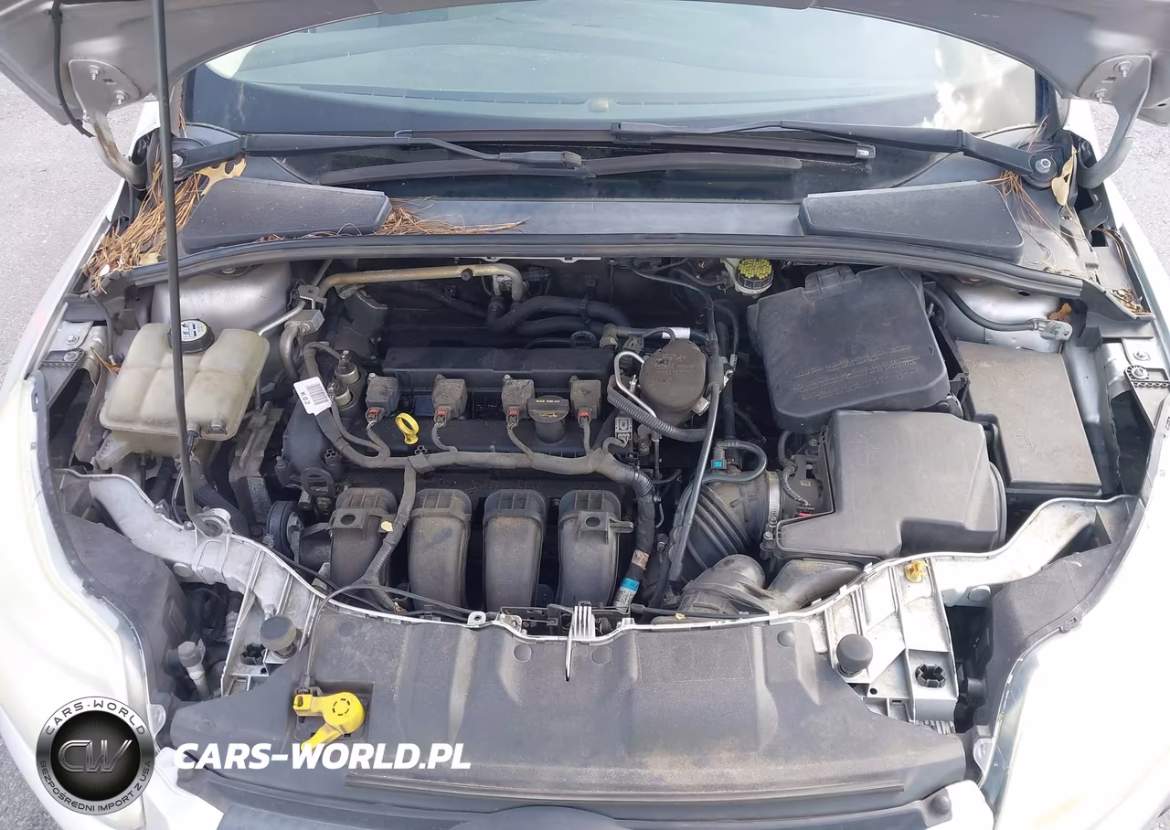 2013 Ford Focus Se VIN:1FADP3F2XDL151445 - 10