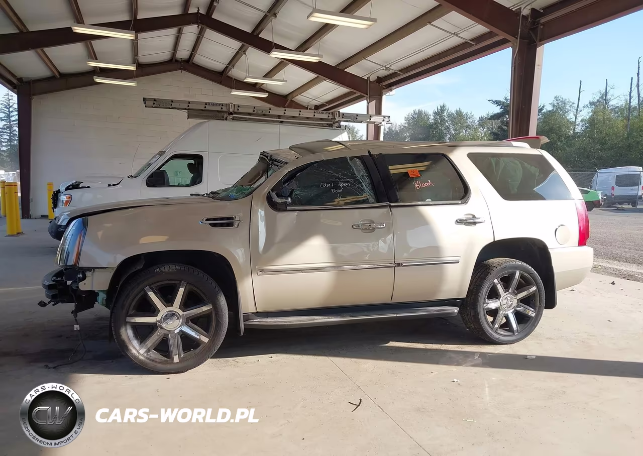 2012 Cadillac Escalade Luxury VIN:1GYS4BEF9CR243273 - 14