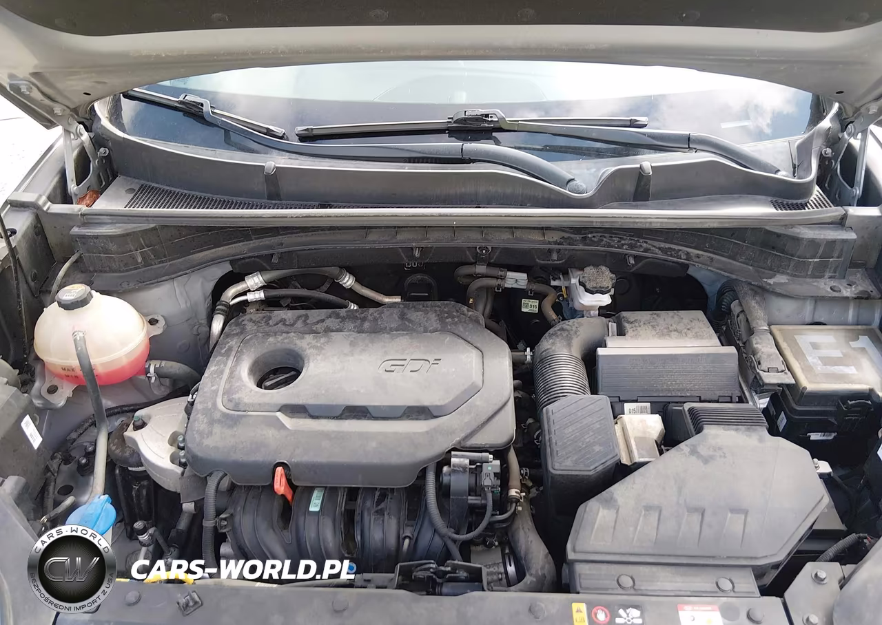 2022 Kia Sportage Lx VIN:KNDPMCAC6N7964999 - 10