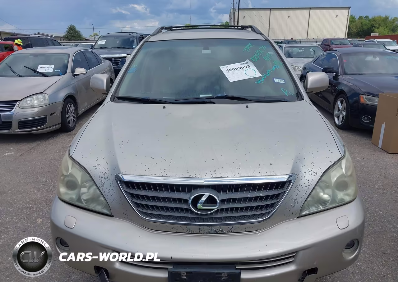 2007 Lexus Rx 400H VIN:JTJGW31U972004270 - 6