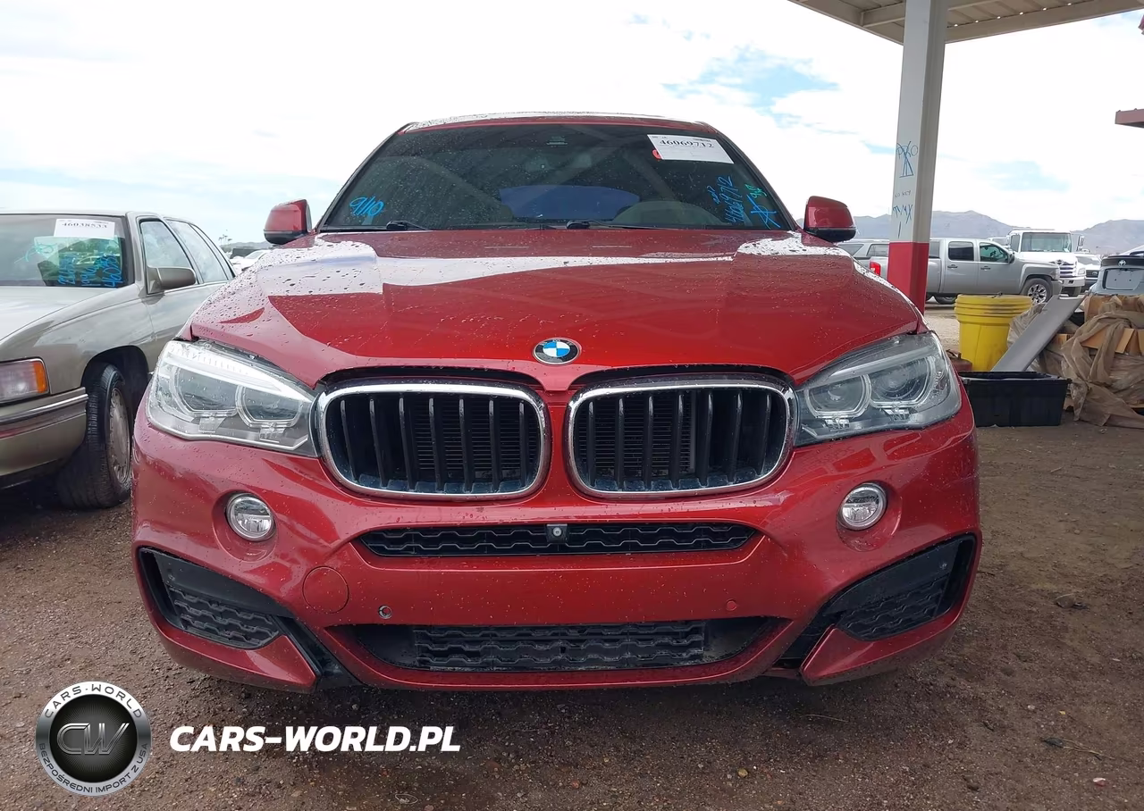 2017 BMW X6 Sdrive35I VIN:5UXKU0C36H0G57465 - 12