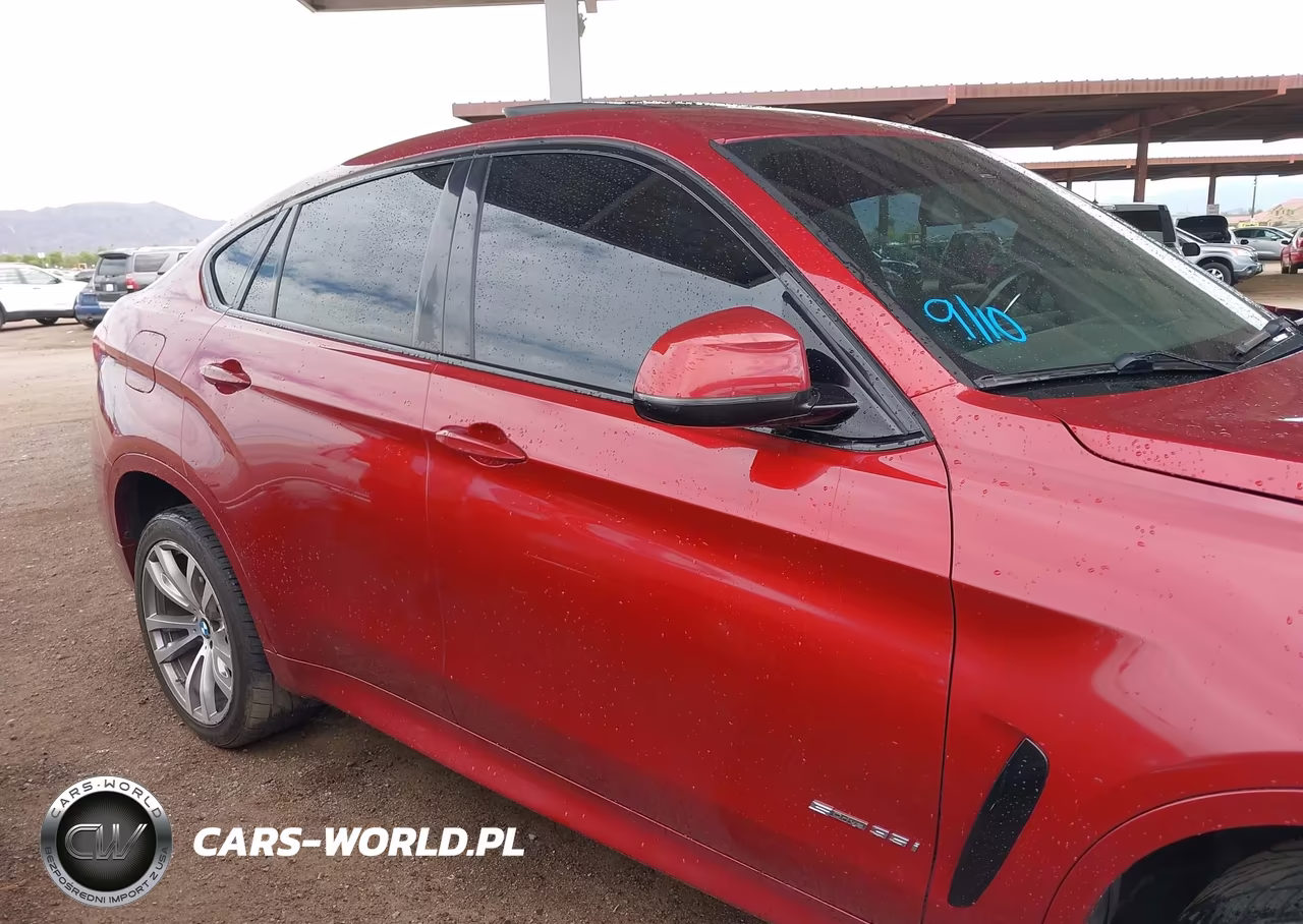 2017 BMW X6 Sdrive35I VIN:5UXKU0C36H0G57465 - 13