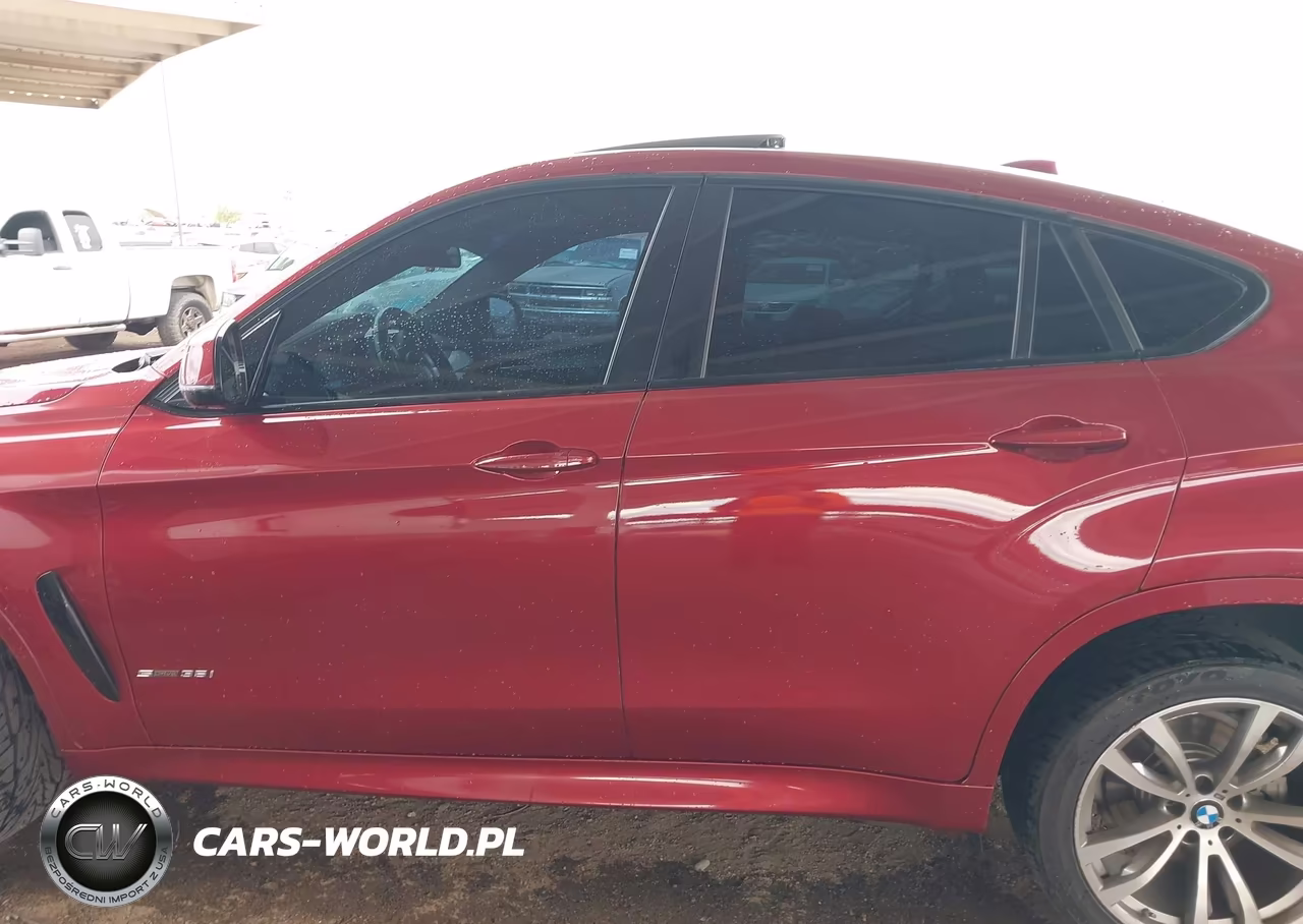2017 BMW X6 Sdrive35I VIN:5UXKU0C36H0G57465 - 14