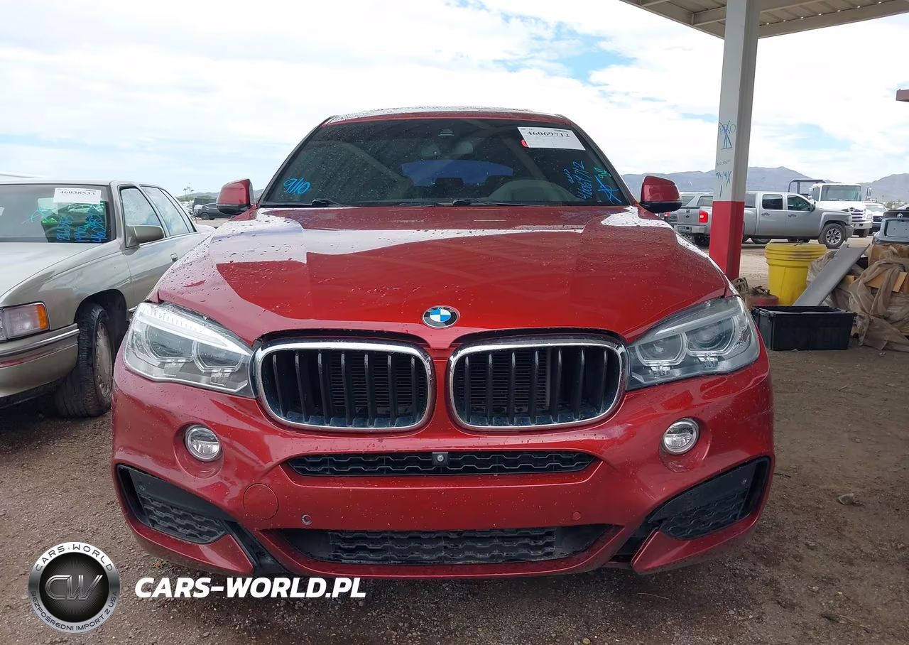 2017 BMW X6 Sdrive35I VIN:5UXKU0C36H0G57465 - 6