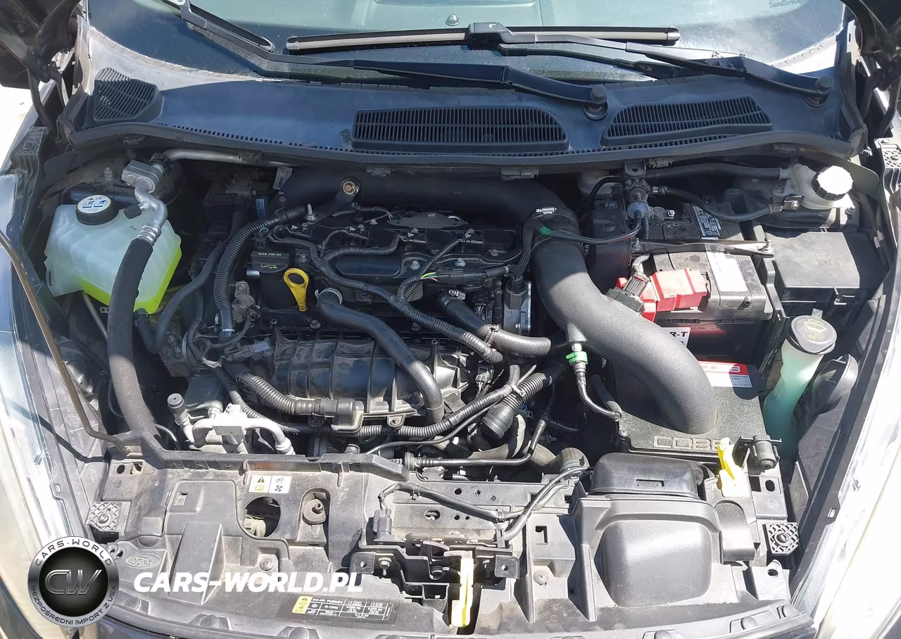 2015 Ford Fiesta St VIN:3FADP4GX9FM195552 - 10