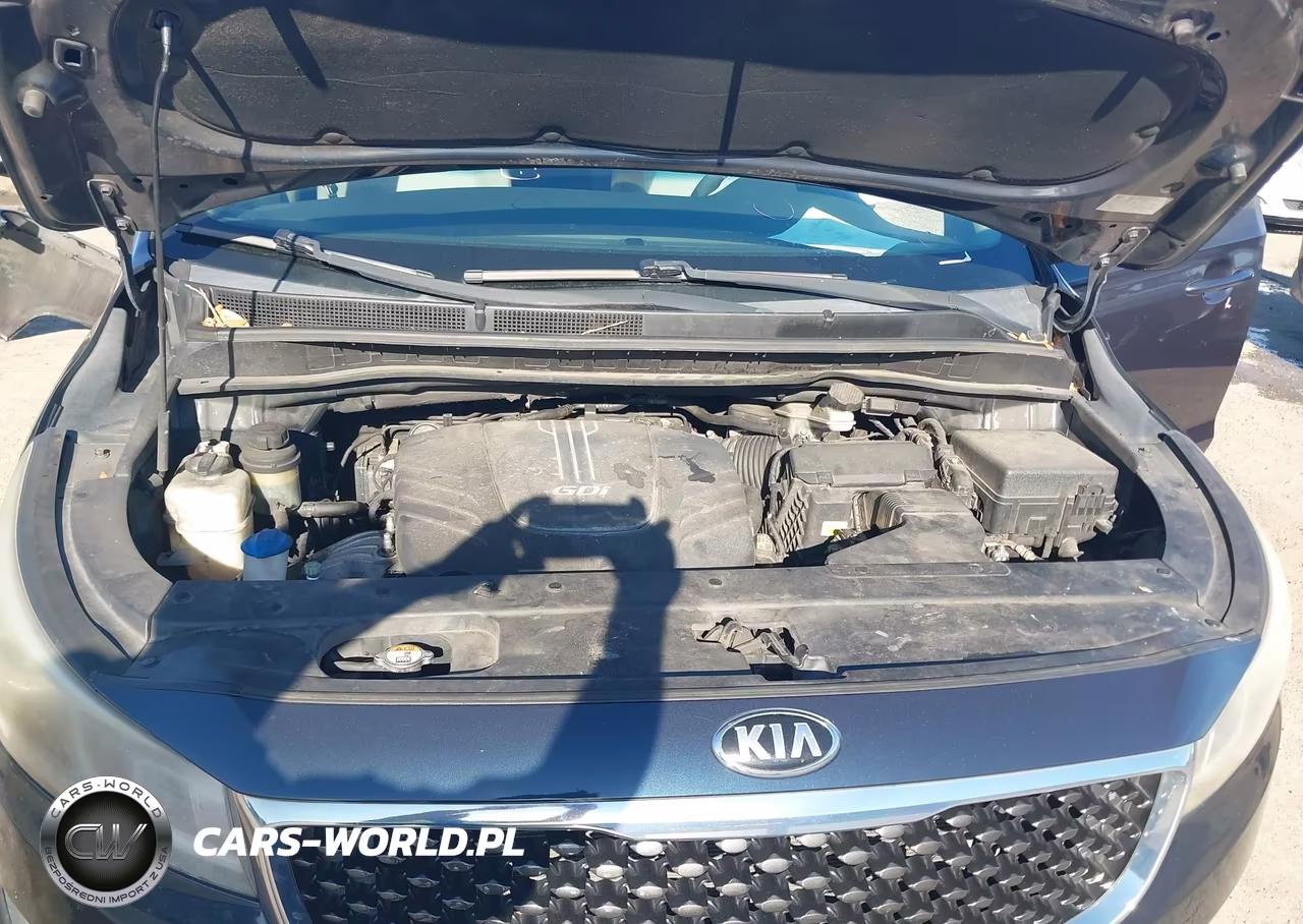2017 Kia Sedona Lx VIN:KNDMB5C12H6226899 - 10