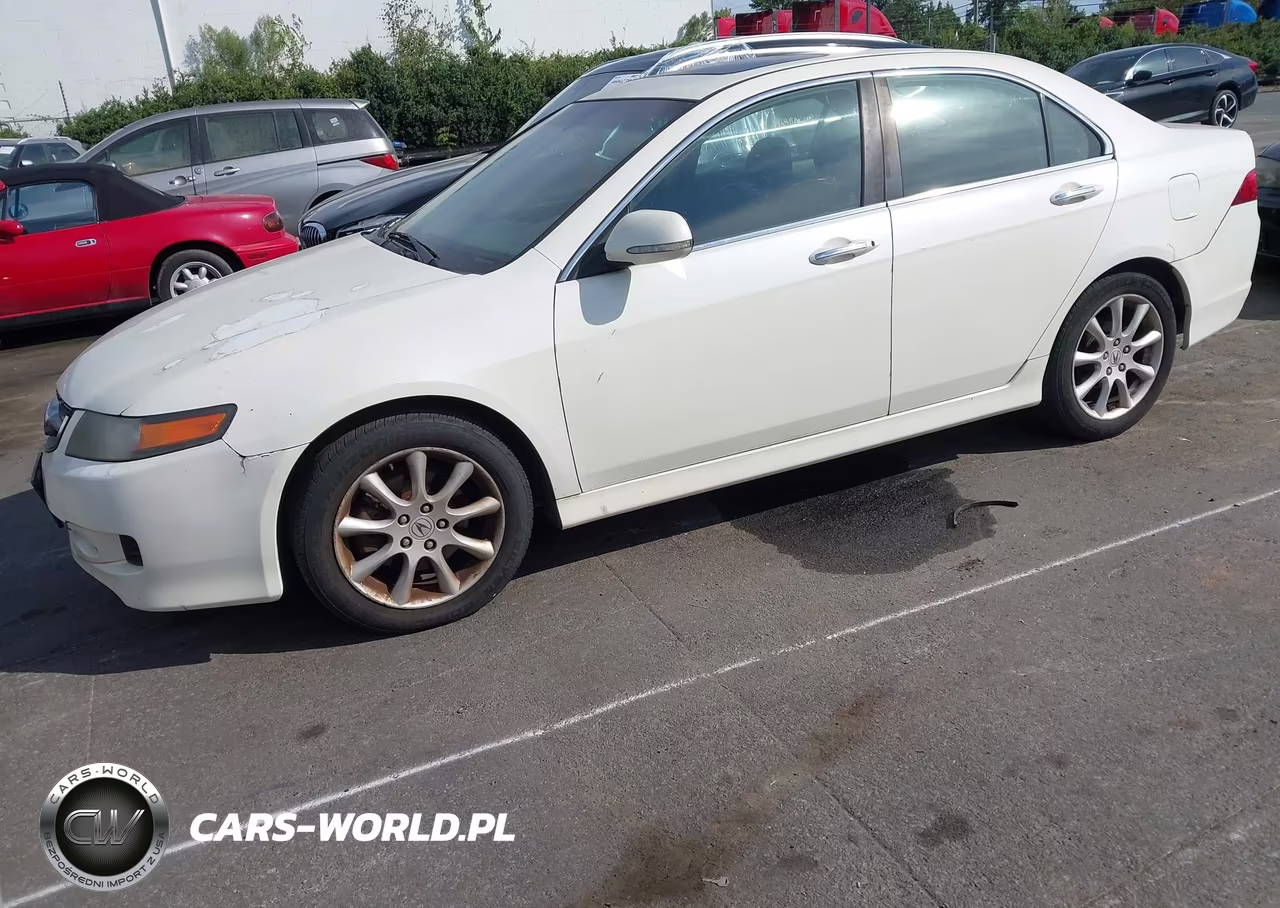 2008 Acura Tsx VIN:JH4CL96928C000539 - 2