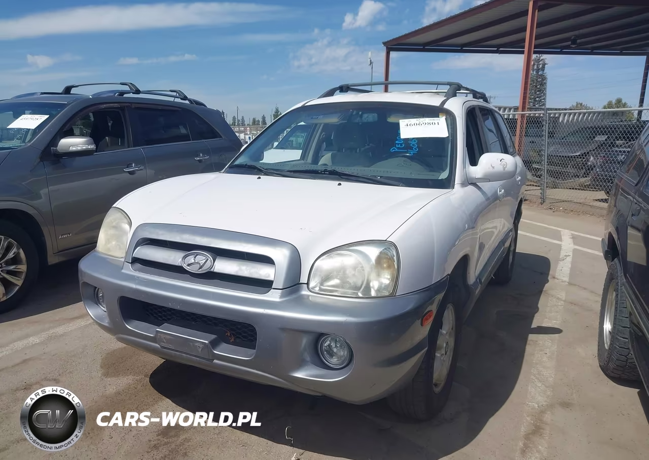2006 Hyundai Santa Fe Gls VIN:KM8SC13D66U043839 - 2
