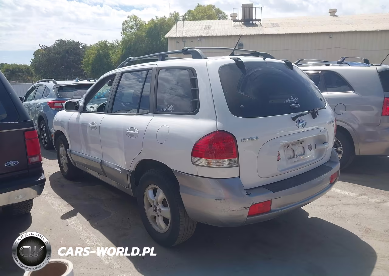 2006 Hyundai Santa Fe Gls VIN:KM8SC13D66U043839 - 3