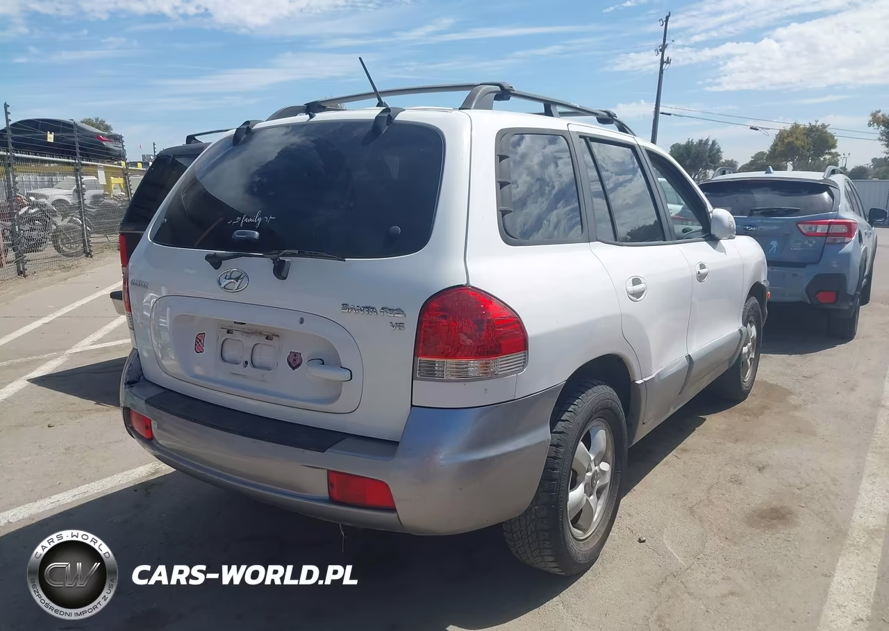 2006 Hyundai Santa Fe Gls VIN:KM8SC13D66U043839 - 4