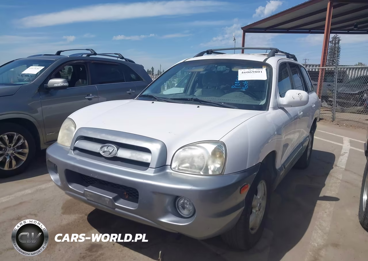 2006 Hyundai Santa Fe Gls VIN:KM8SC13D66U043839 - 6