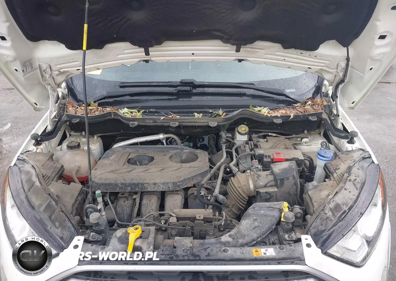2020 Ford Ecosport Se VIN:MAJ6S3GLXLC345406 - 10