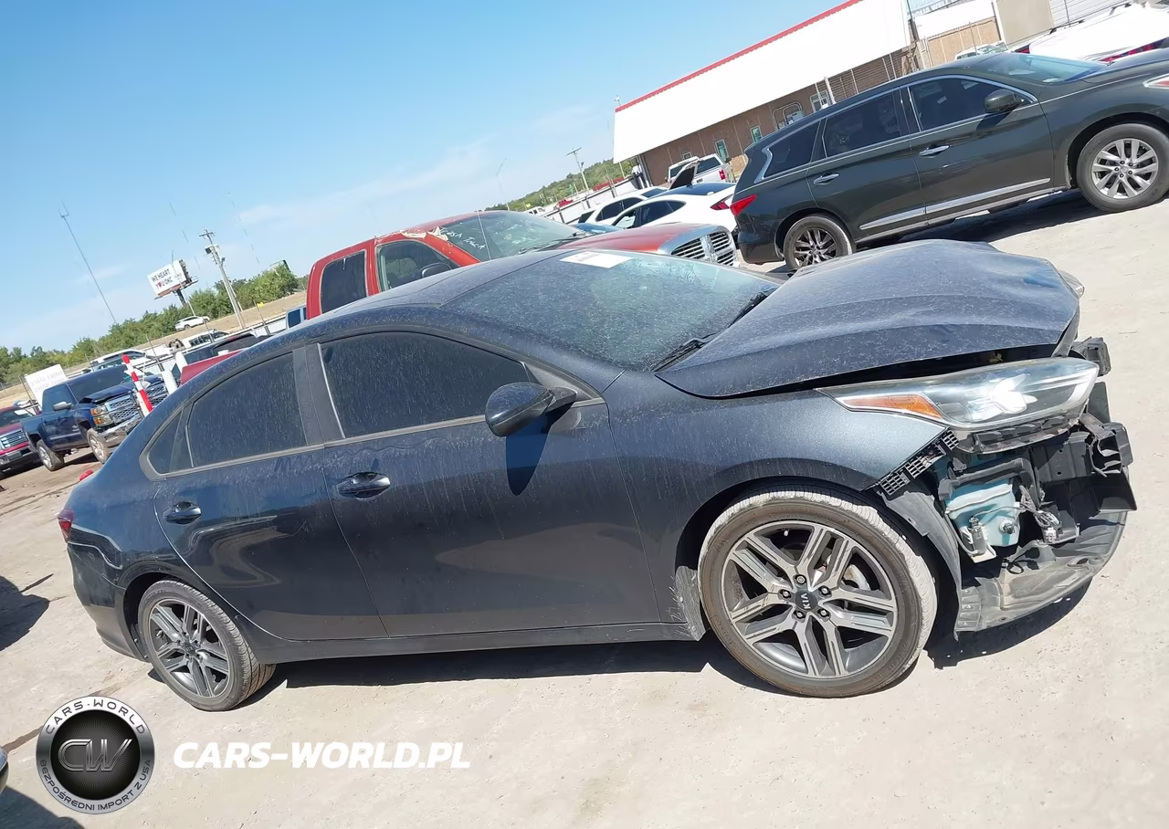 2019 Kia Forte S VIN:3KPF34AD2KE018116 - 13