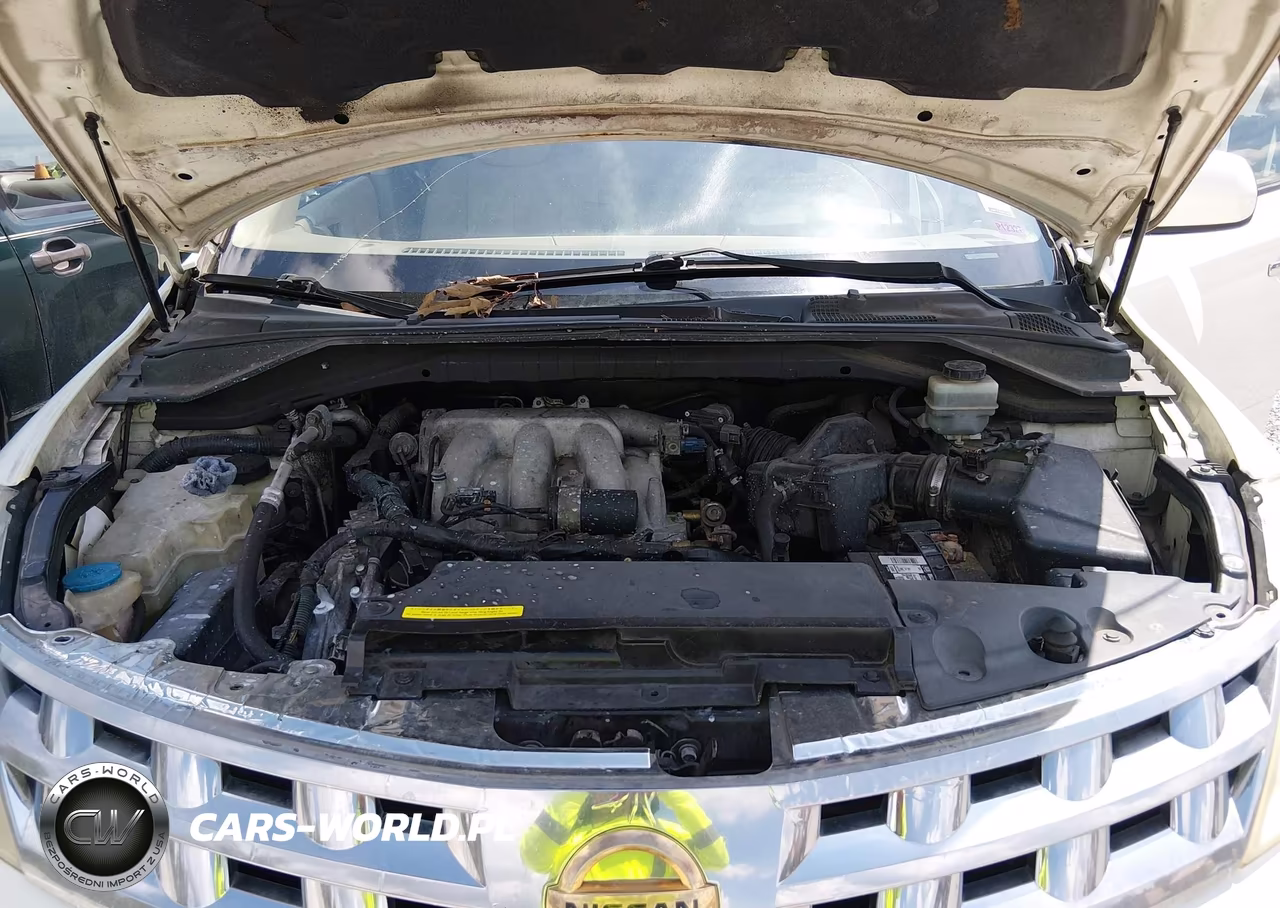 2003 Nissan Murano Sl VIN:JN8AZ08TX3W123044 - 10