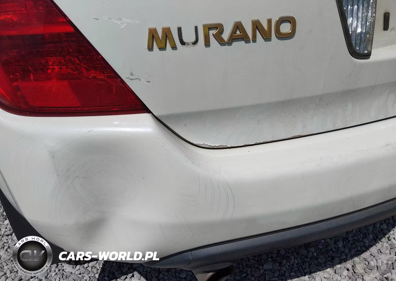 2003 Nissan Murano Sl VIN:JN8AZ08TX3W123044 - 6