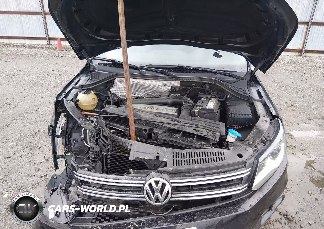 2013 Volkswagen Tiguan Se VIN:WVGAV7AX6DW535617 - 10