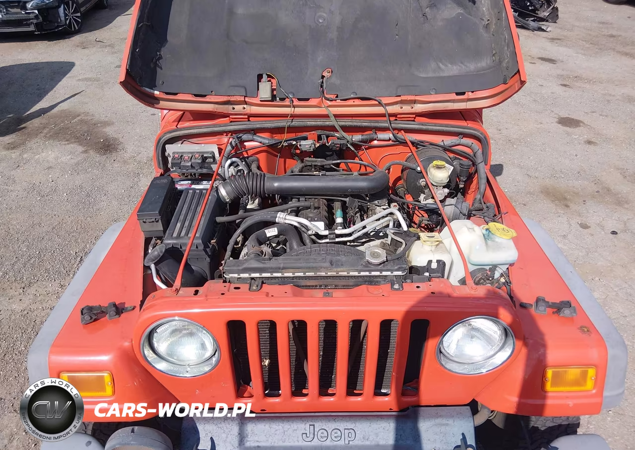 2005 Jeep Wrangler Unlimited VIN:1J4FA44S25P320066 - 10