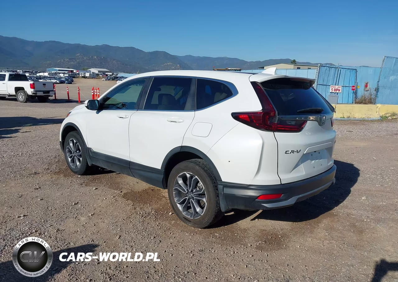 2020 Honda Cr-V Awd Ex VIN:5J6RW2H57LL022494 - 3