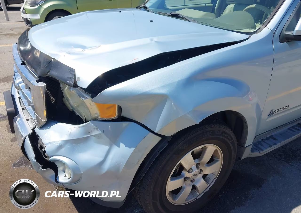 2009 Ford Escape Hybrid Limited VIN:1FMCU593X9KA08695 - 6