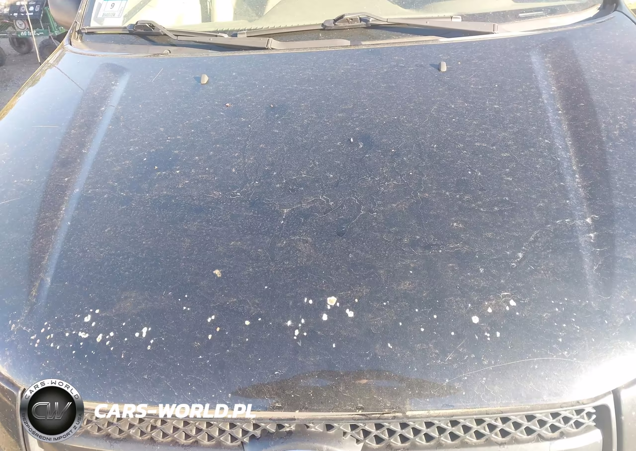 2005 Toyota Rav4 VIN:JTEHD20V650046465 - 17