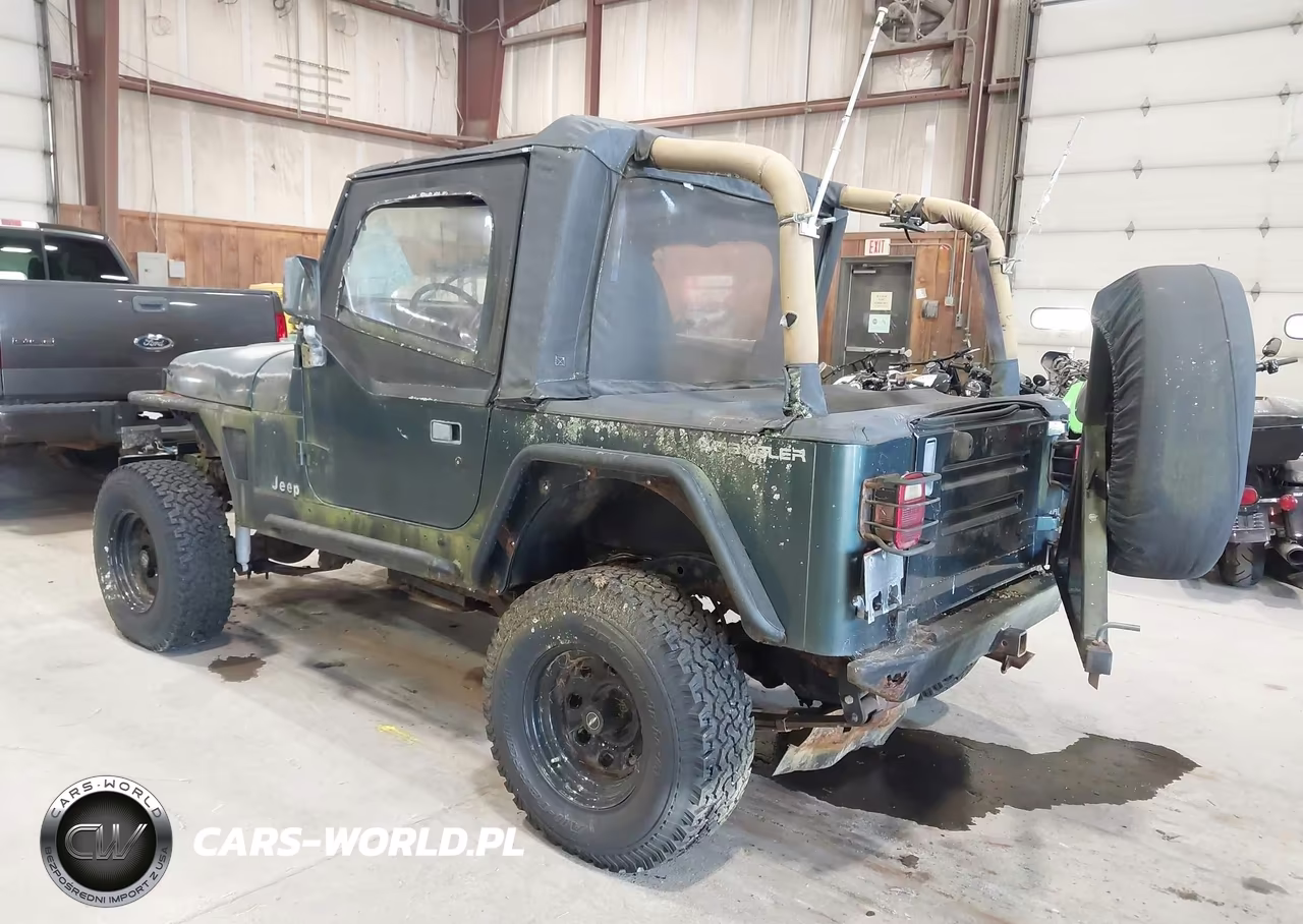 1994 Jeep Wrangler - Yj Se VIN:1J4FY29S8RP429002 - 3