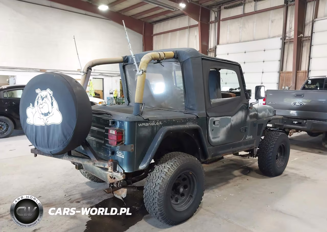 1994 Jeep Wrangler - Yj Se VIN:1J4FY29S8RP429002 - 4